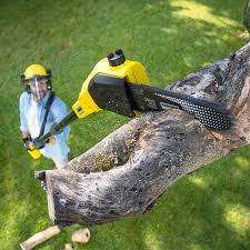 Best Lawn Mowing  in Gloverville, SC